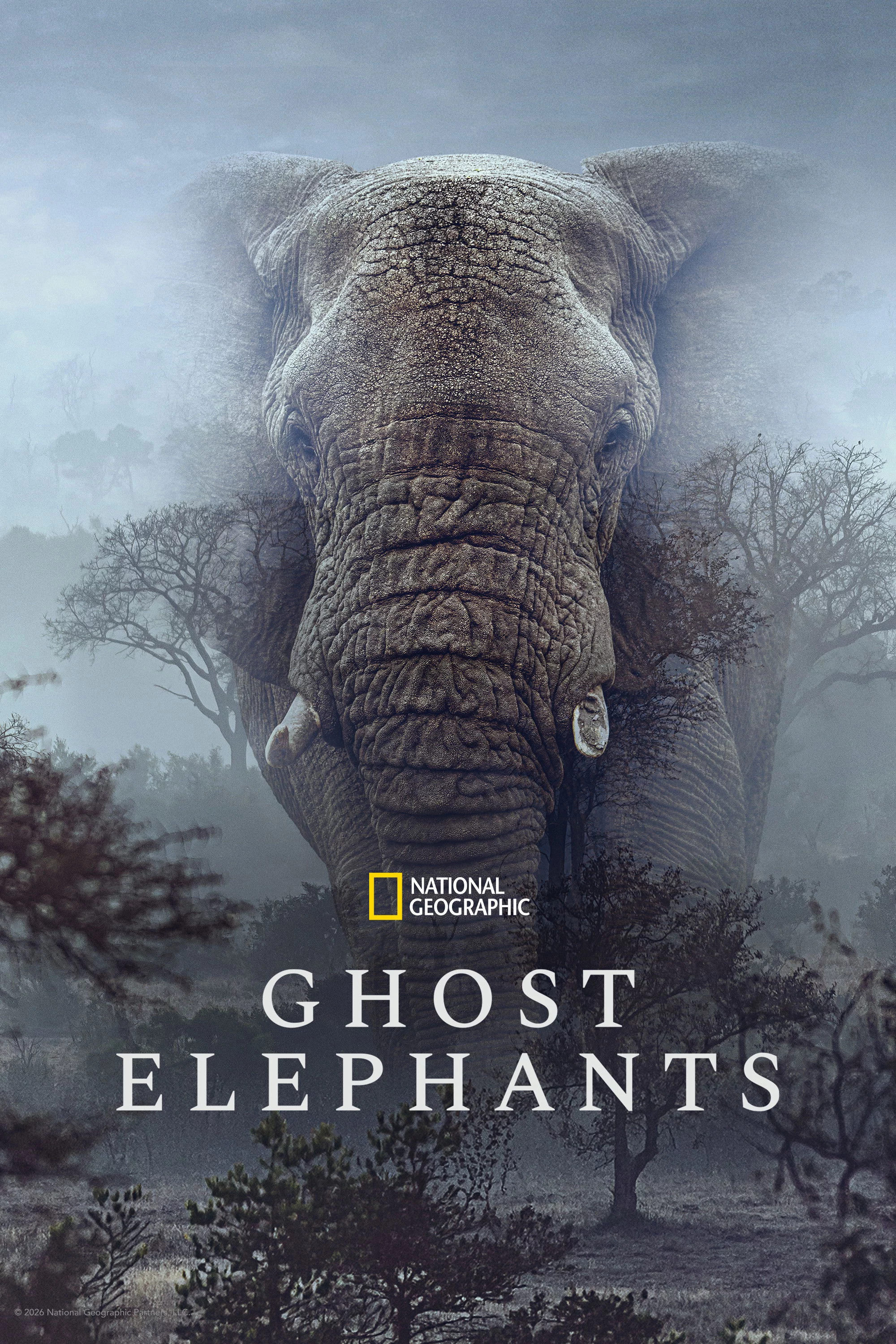 Ghost Elephants Ghost Elephants